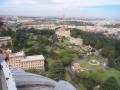 The Vatican gardens.